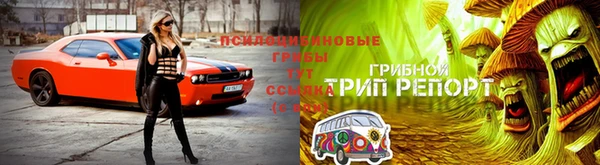 круглые Рославль