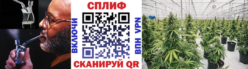 kraken как зайти  Закаменск  Марихуана сатива  купить наркотик 